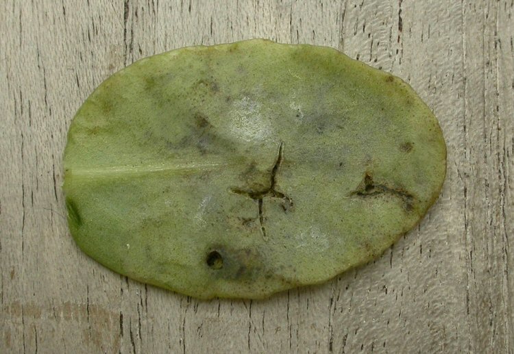 lower surface