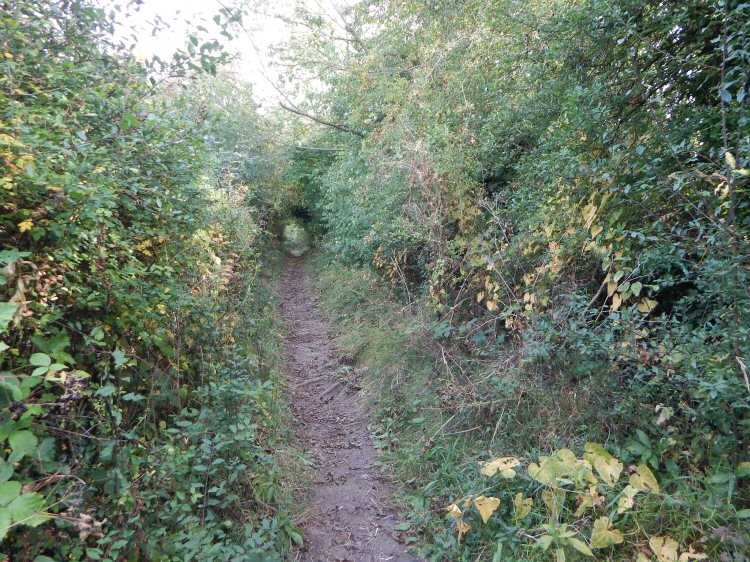 habitat