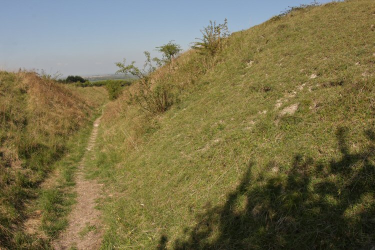 habitat