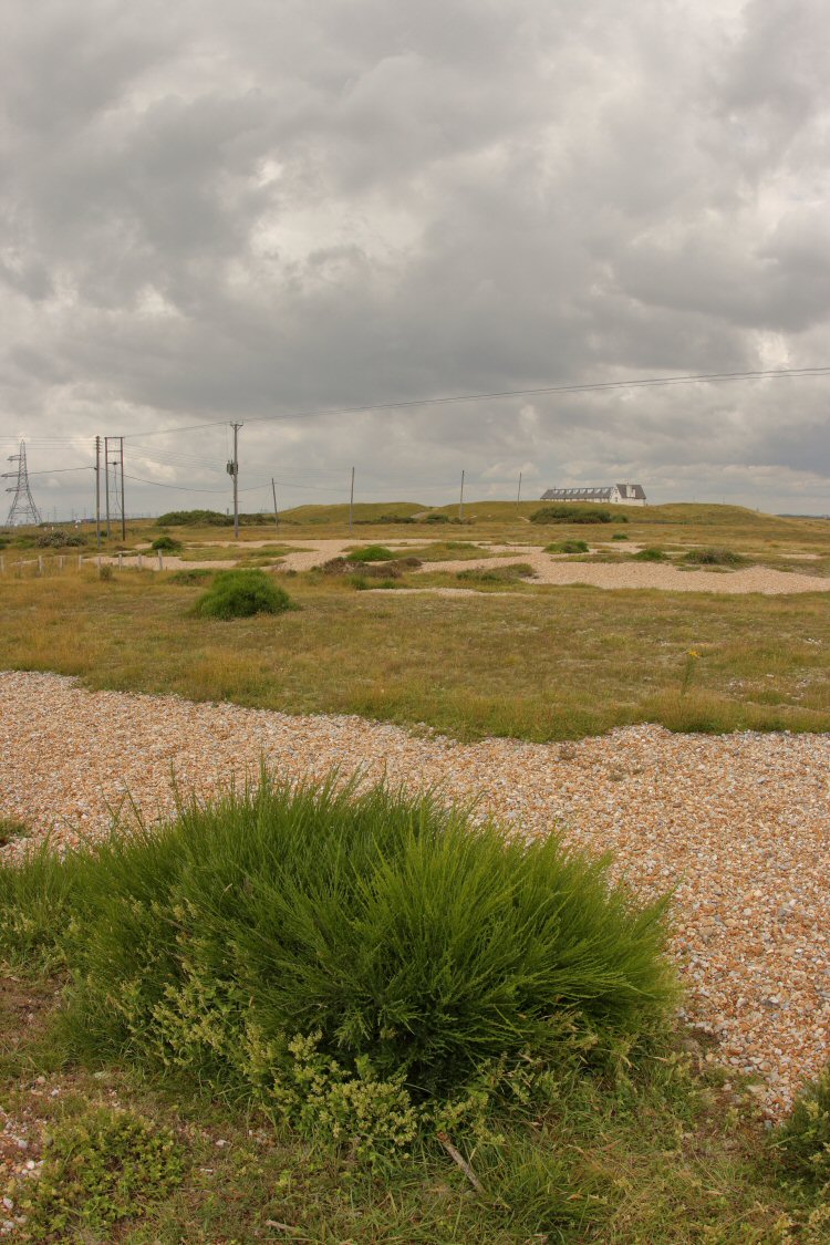 habitat
