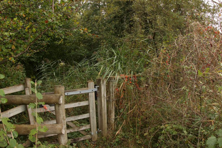 habitat
