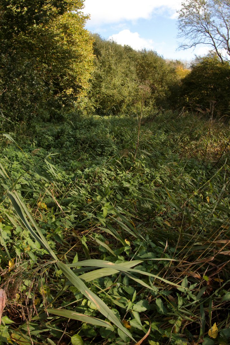 habitat