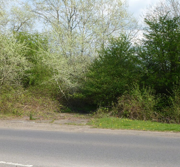 habitat
