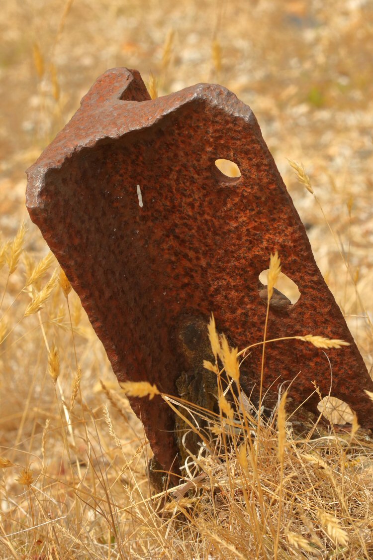 pupating case fixed to metal post