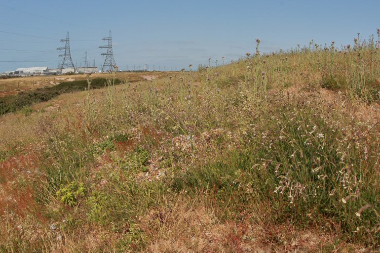 habitat