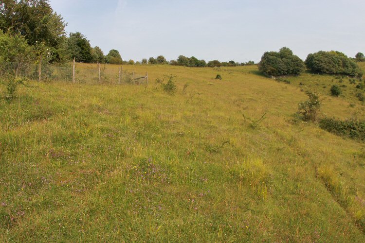 habitat