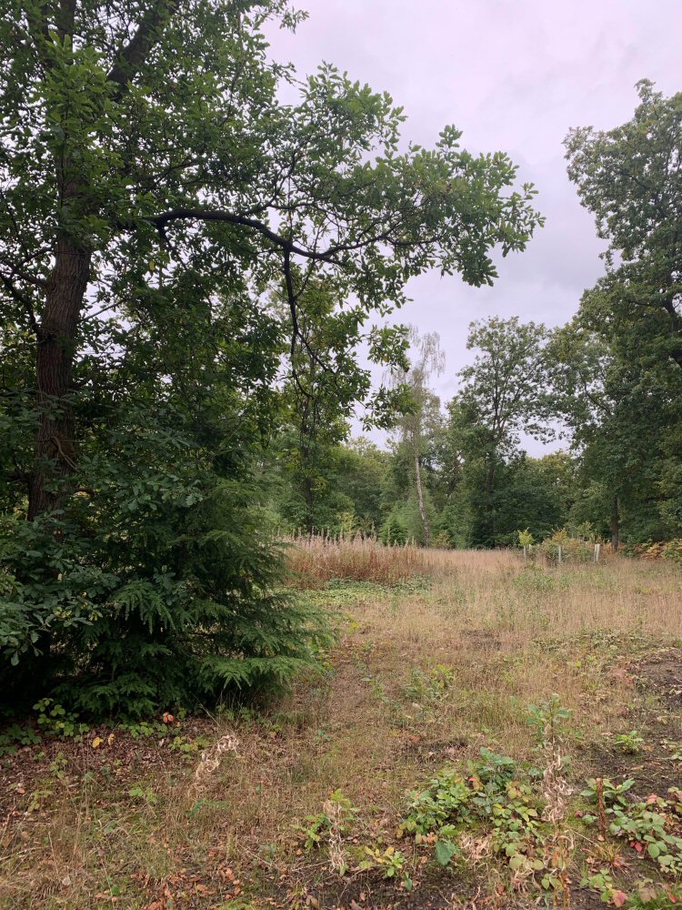 habitat
