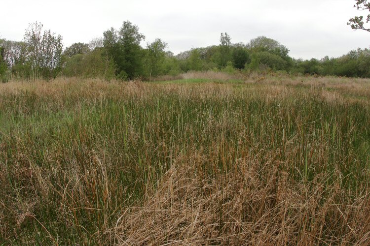 habitat
