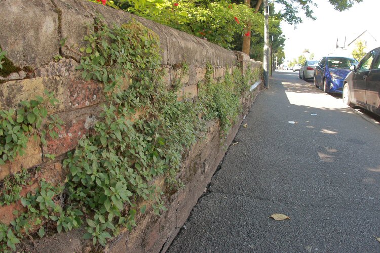 habitat