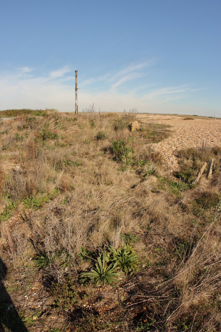 habitat