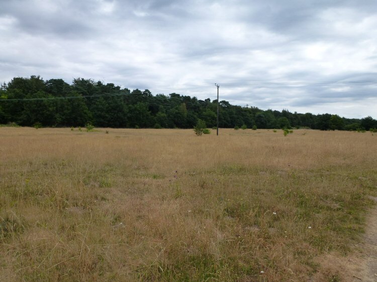 habitat