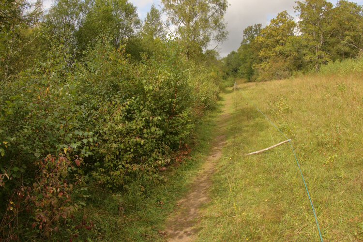 habitat
