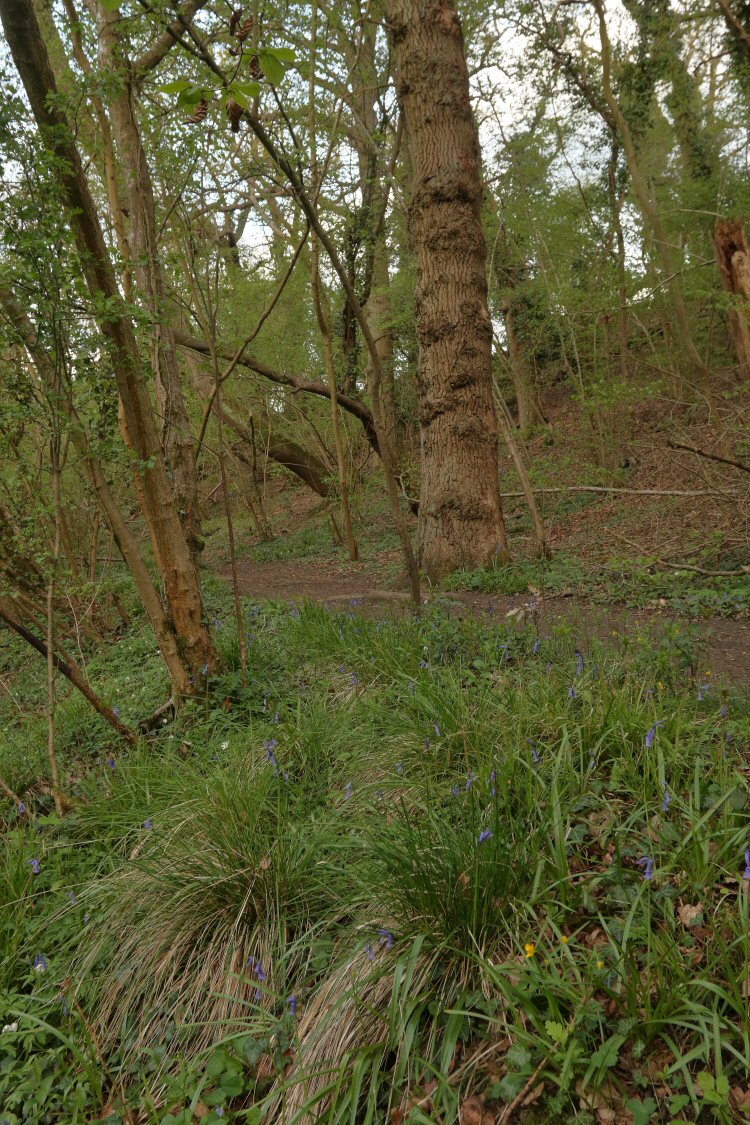 habitat