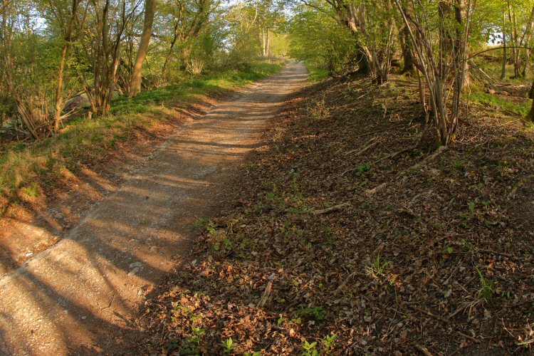 habitat