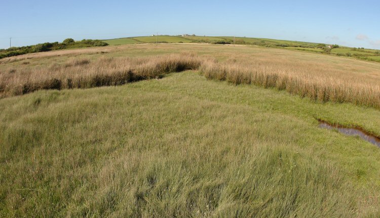 habitat
