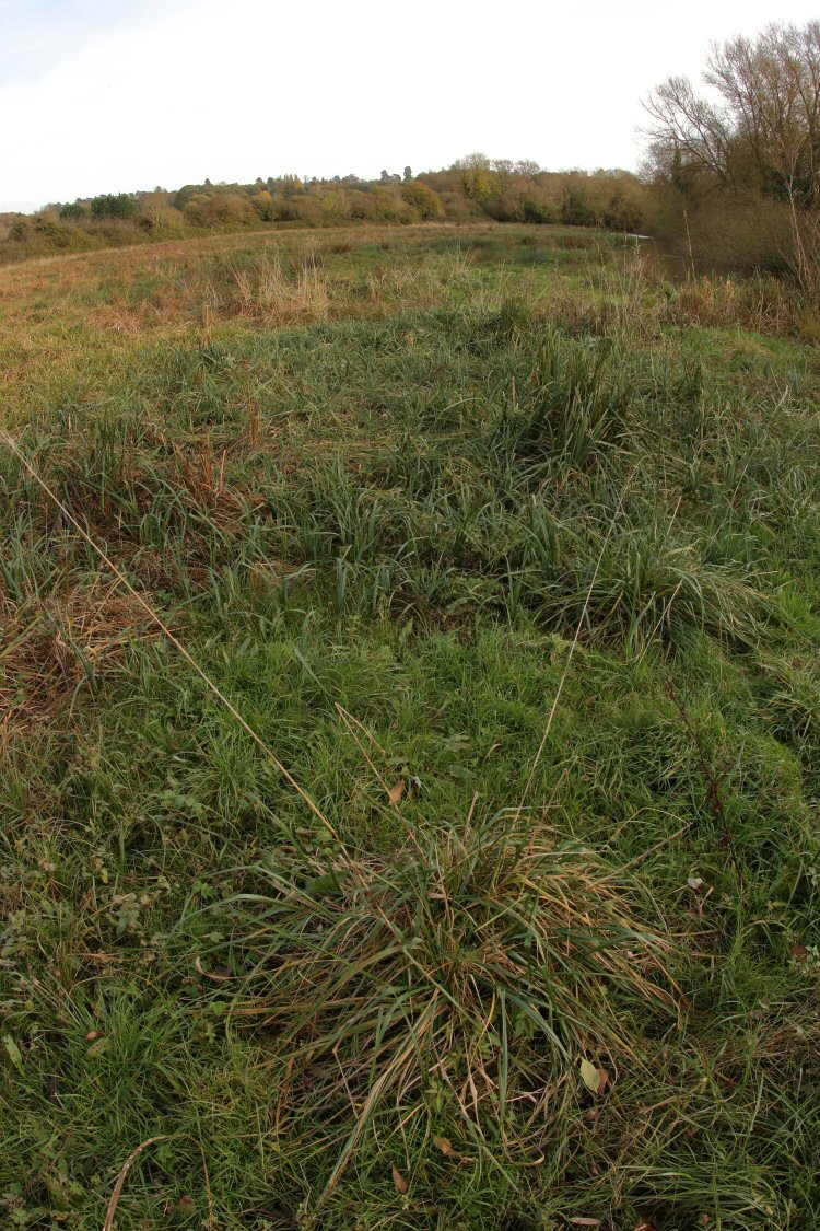habitat
