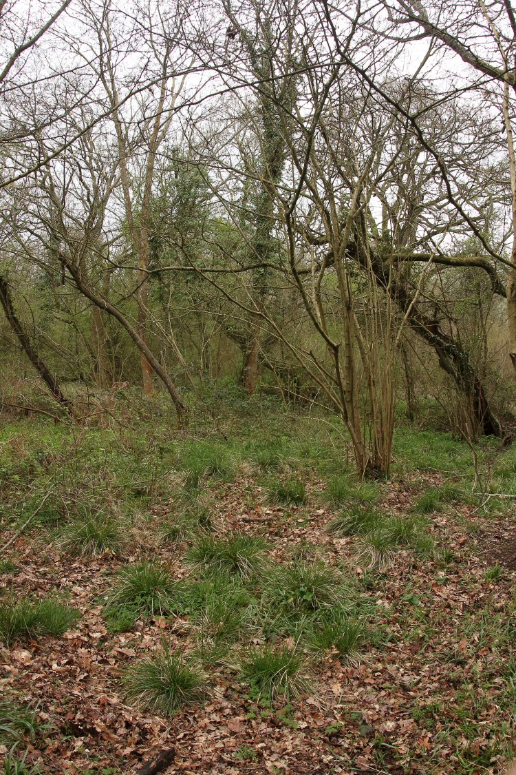 habitat