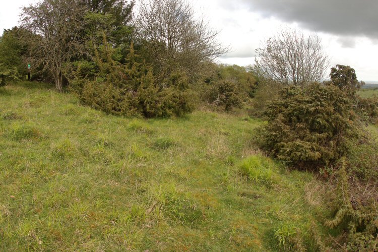 habitat