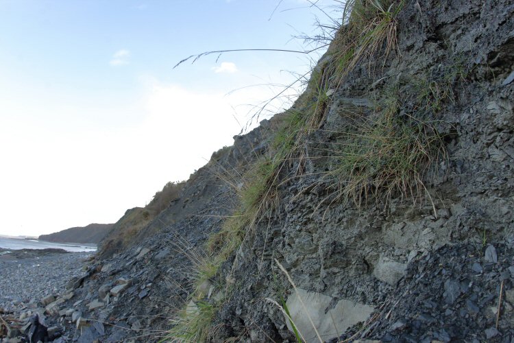 habitat