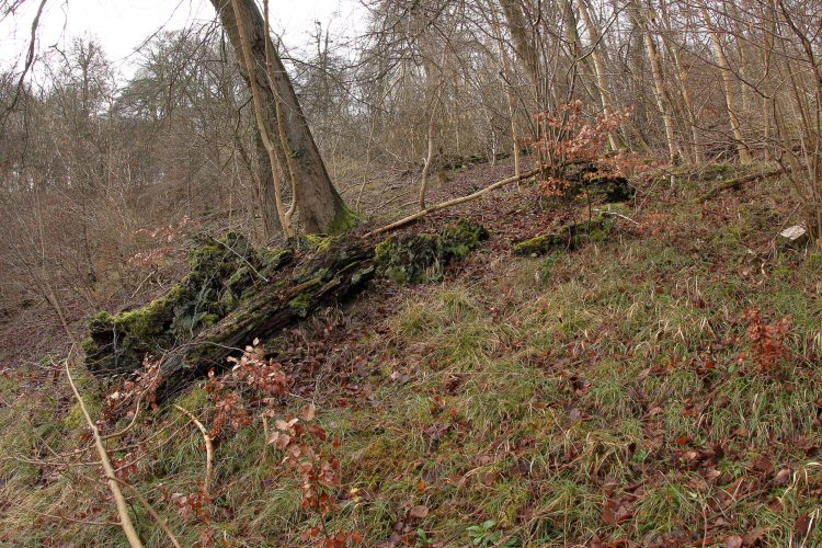 habitat