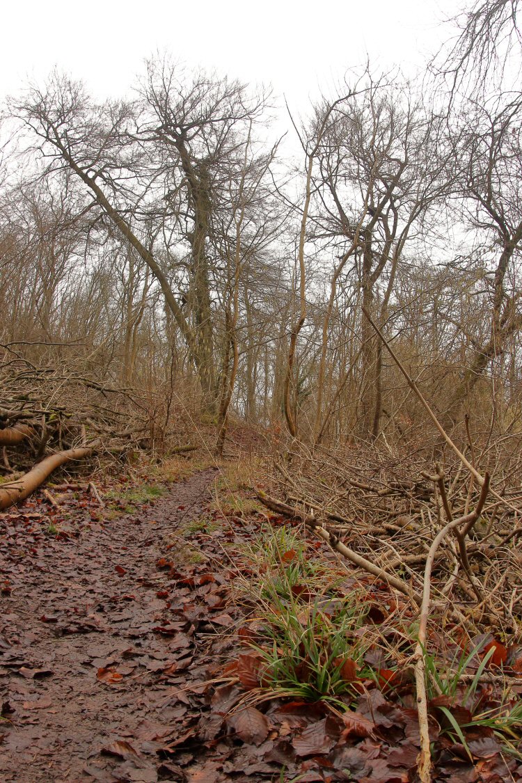 habitat