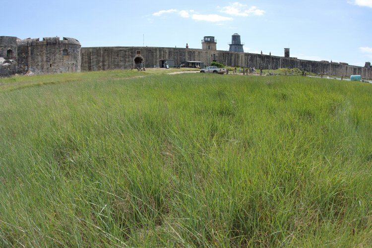 habitat