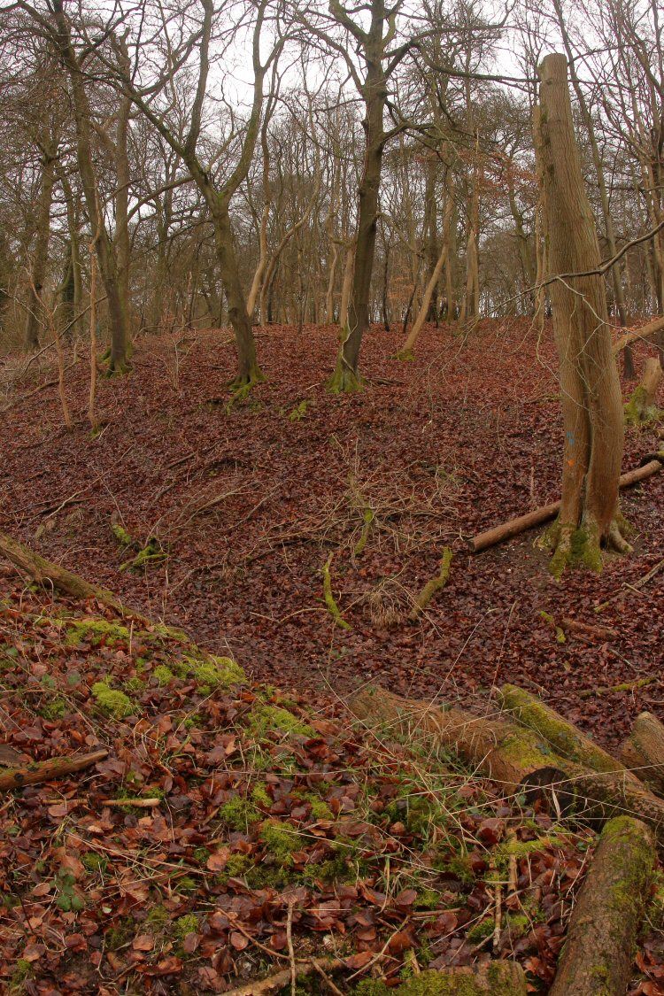 habitat