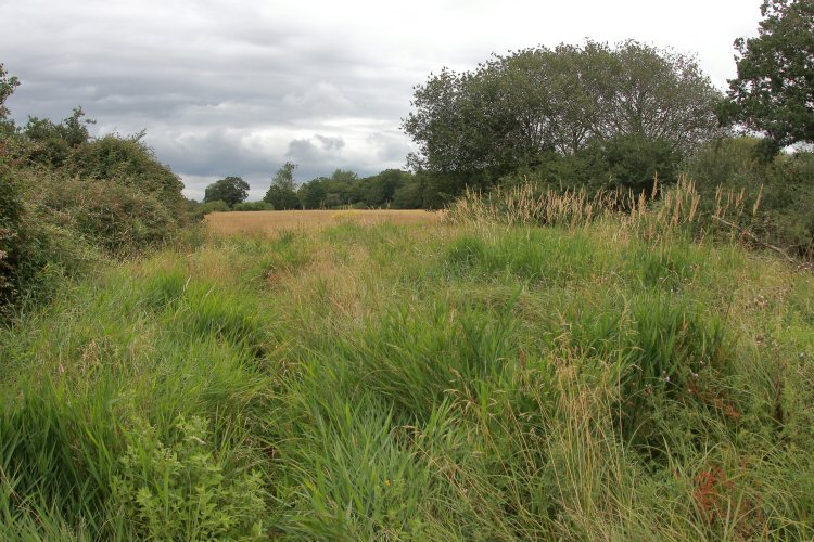 habitat