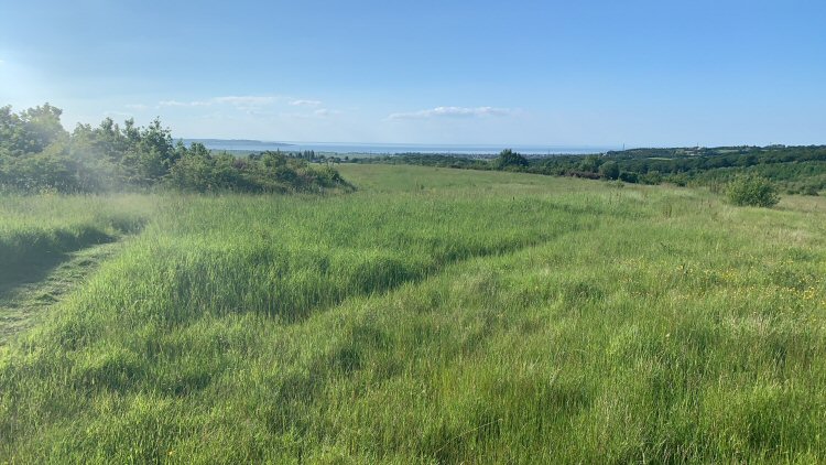 habitat
