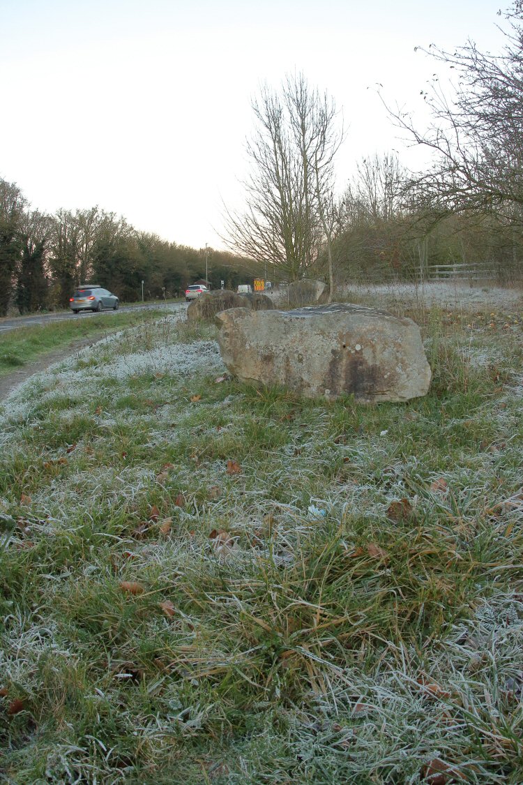 habitat