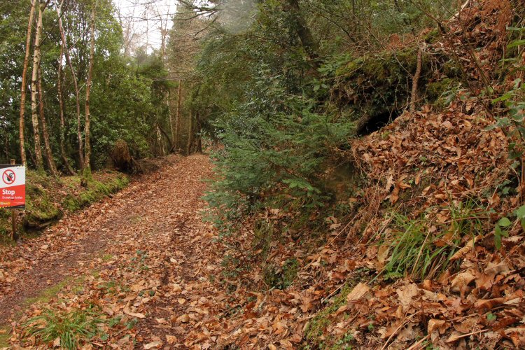 habitat
