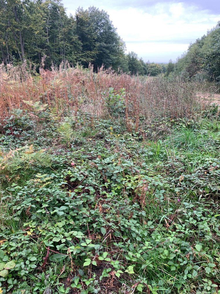habitat