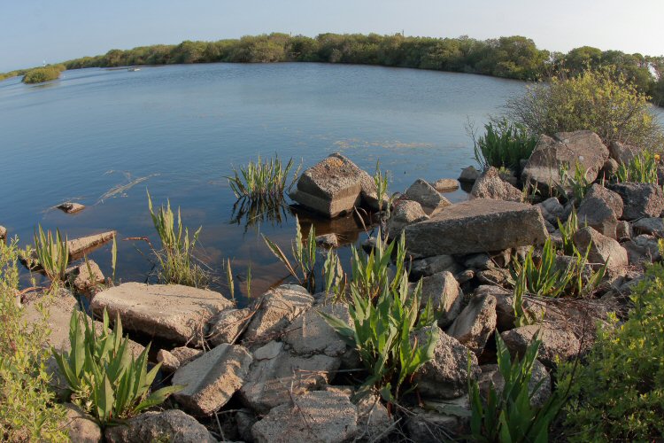 habitat