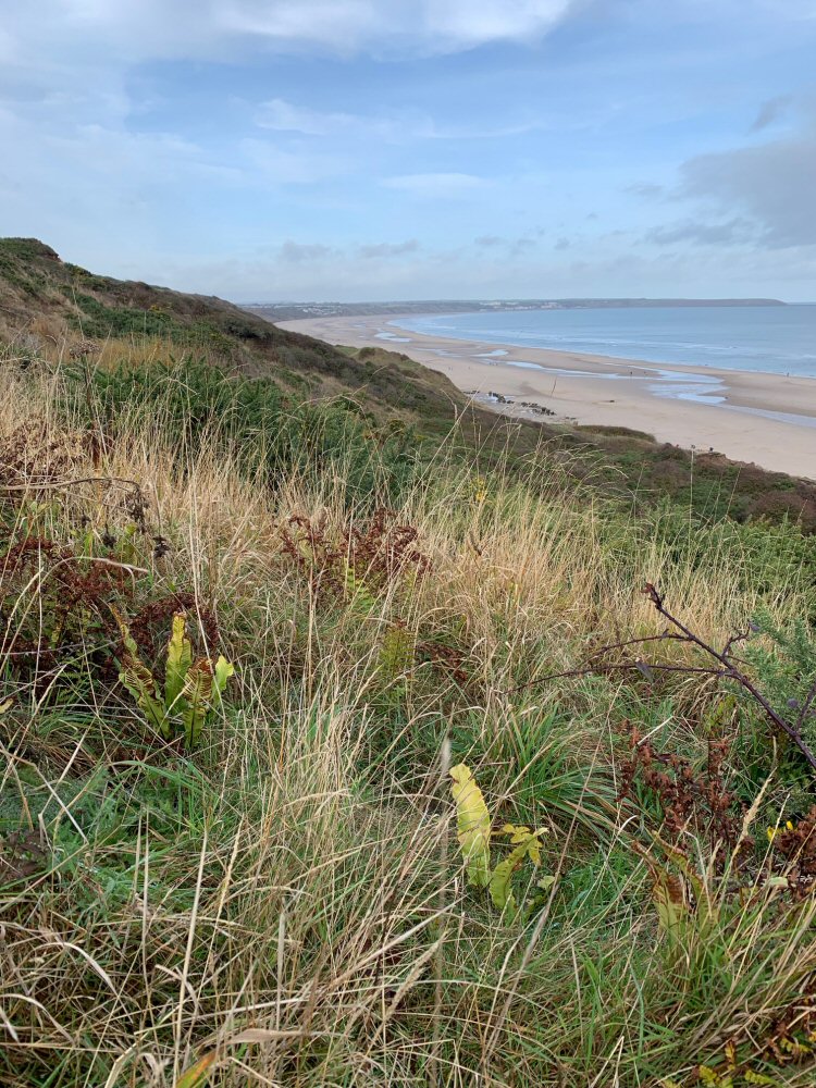 habitat