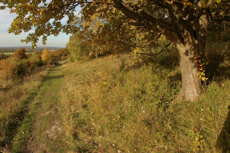 habitat