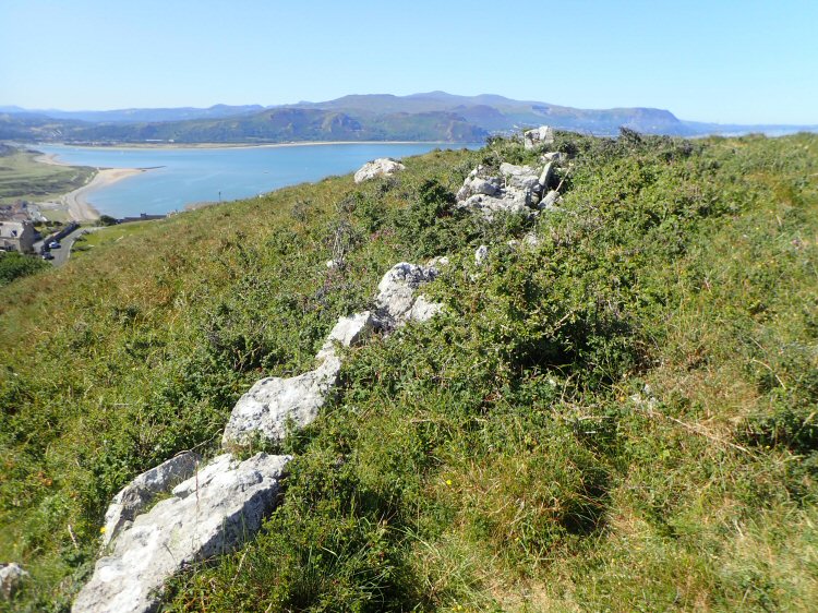 habitat