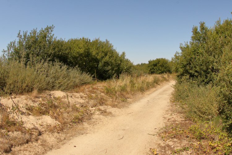 habitat